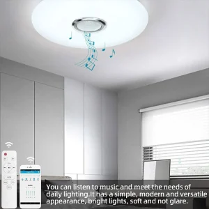 RGB LED Bluetooth Ceiling Light